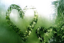 苏丹运动员勇夺金牌彰显实力