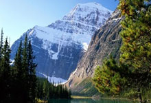 火箭勇夺西部冠军，力争总冠军